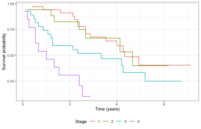 Kaplan-Meier by stage (unadjusted).
